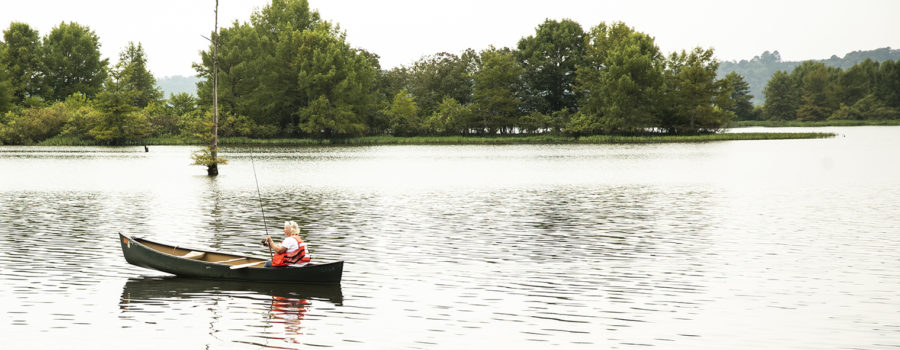 Canoeing at Lake D'Arbonne